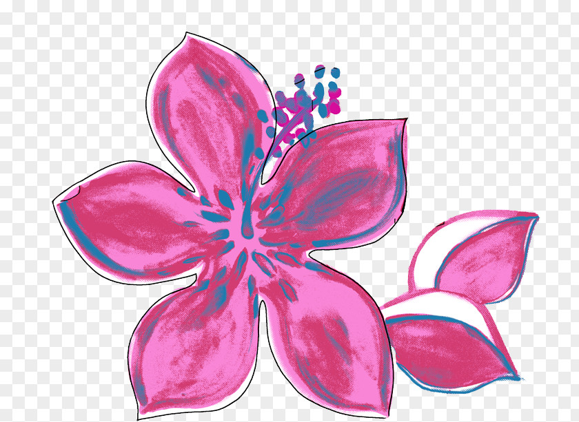 Fashion Flower Pink Plants Watercolor Painting Shoeblackplant PNG