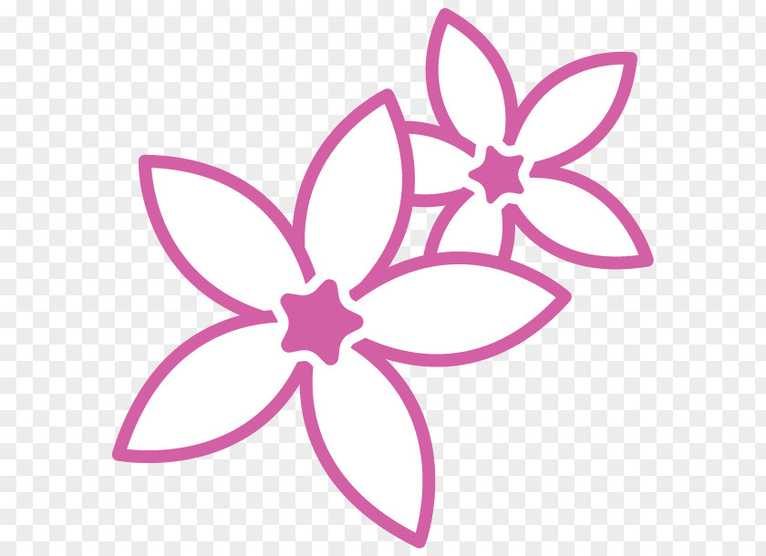 Flower Coloring Book Drawing Adult PNG
