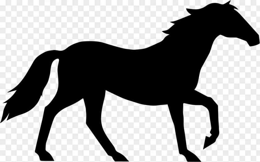 Horse Animals On White Silhouette Drawing Vector Graphics PNG