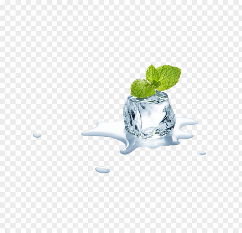 Mint Leaves And Ice Cubes Mentha Spicata Electronic Cigarette Aerosol Liquid Menthol PNG