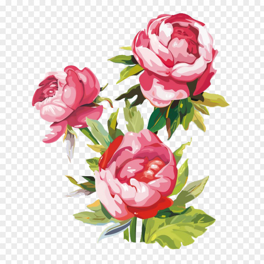 Peony Painting Picture Material Paper Gouache Flower Paint PNG