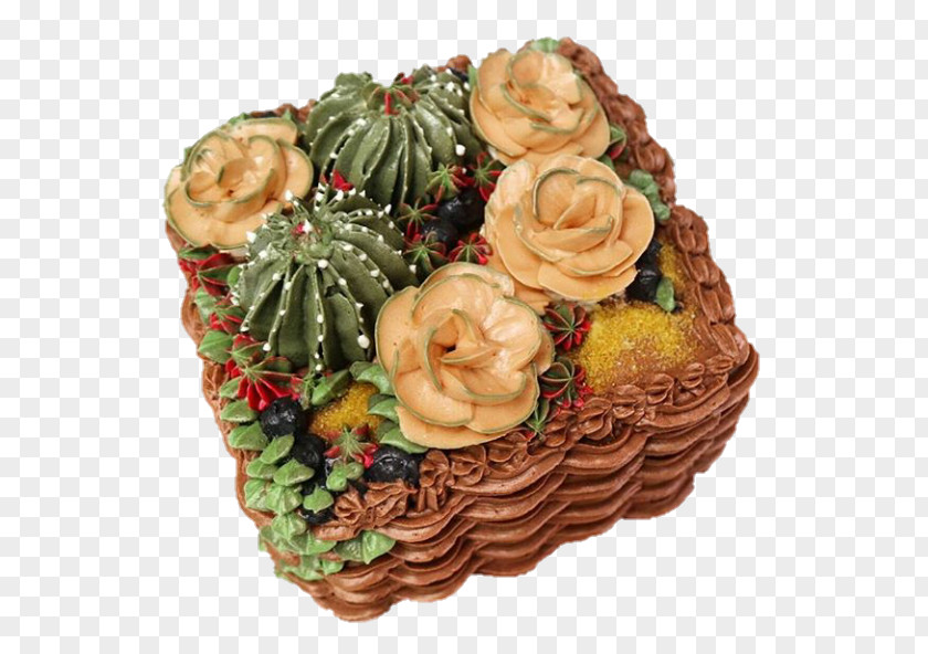 Potted Shape Cake Torta Plant PNG