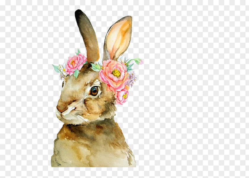 Rabbit The Tale Of Peter Watercolor Painting Art PNG