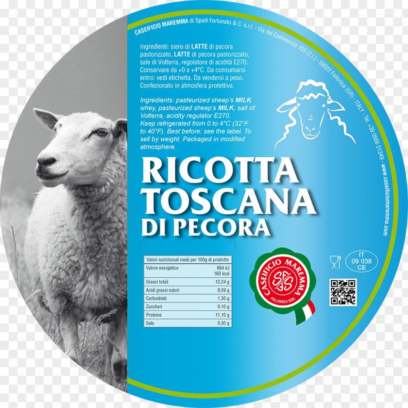 Sheep Caseificio Maremma Di Spadi Fortunato & C S.r.l. Milk Ricotta Cheese PNG