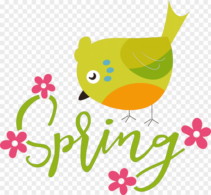 Spring Bird PNG