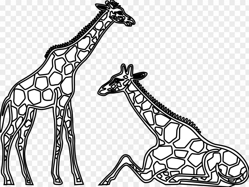 Zipline Cliparts Giraffe Lion Black And White Clip Art PNG