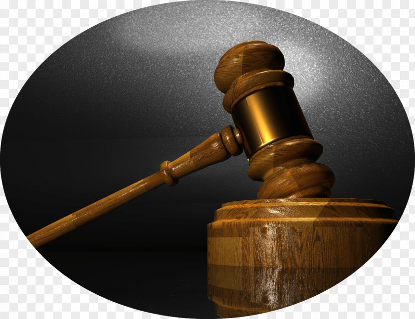 Criminal Justice System United States Lawyer Elder Law Labour PNG
