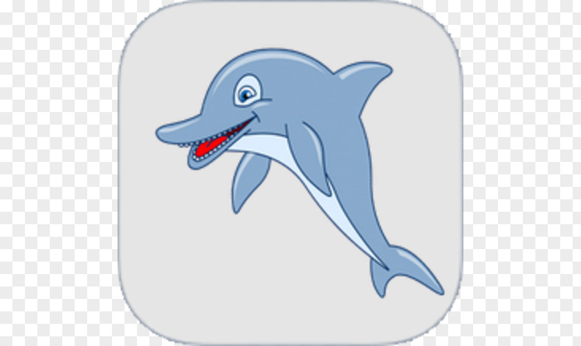 Dental Smile Common Bottlenose Dolphin Tucuxi Short-beaked Rough-toothed Wholphin PNG