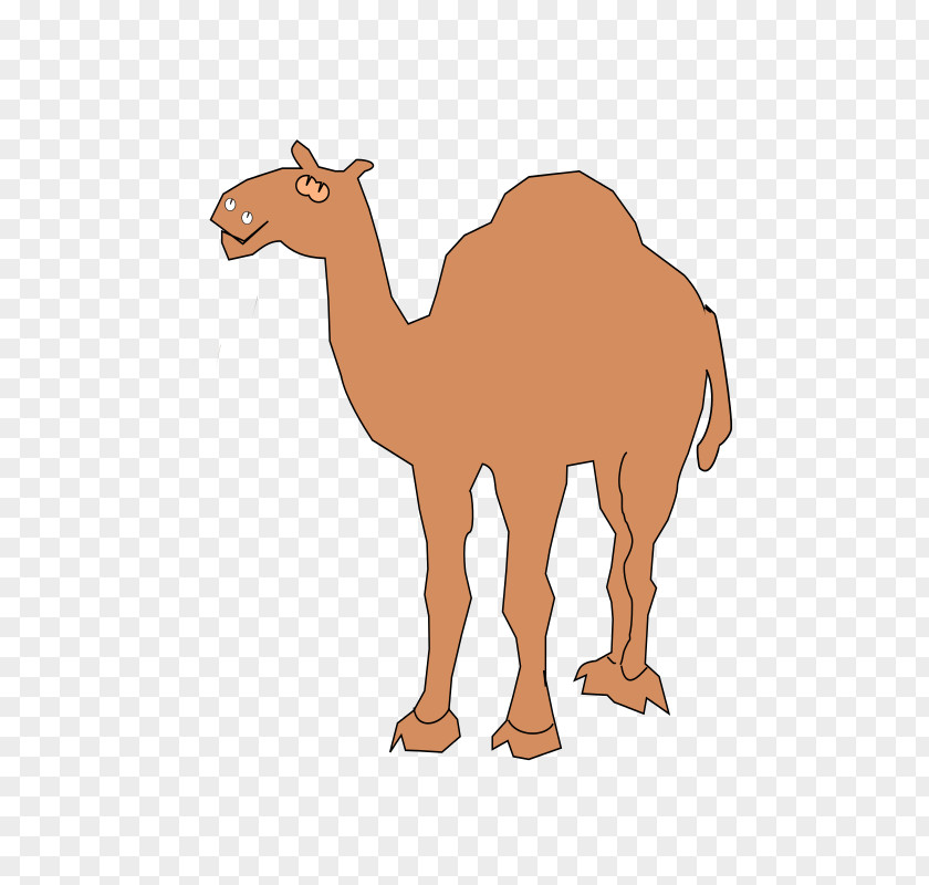 Dromedary Clip Art PNG