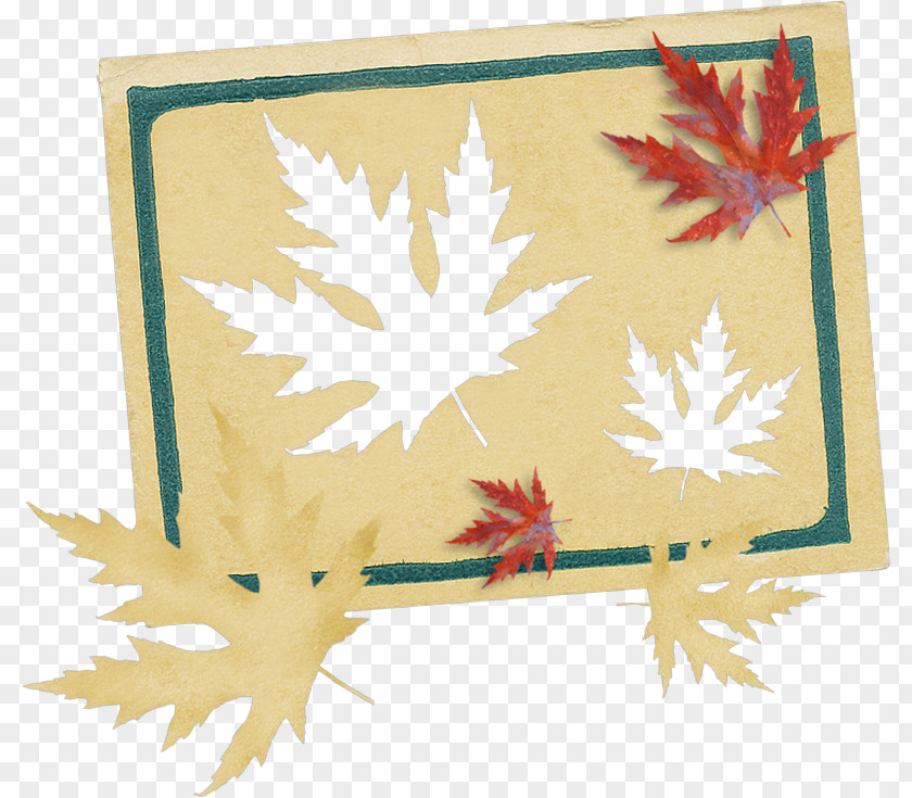 Maple Leaf Sheet Papercutting PNG