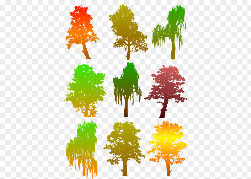 Tree Collection Silhouette Illustration PNG