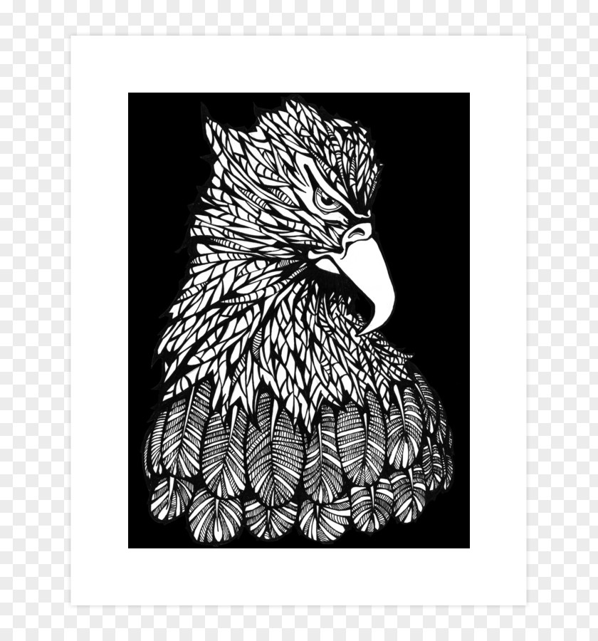 United States Beak Bald Eagle Bird Hoodie PNG