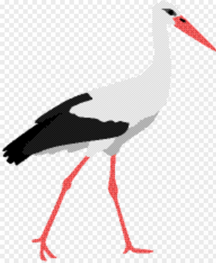 Whooping Crane Bird PNG