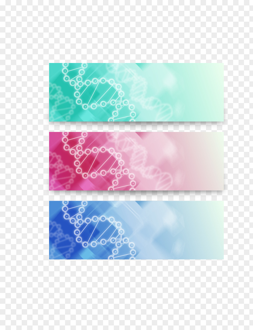 3 Color DNA Molecule Banner PNG