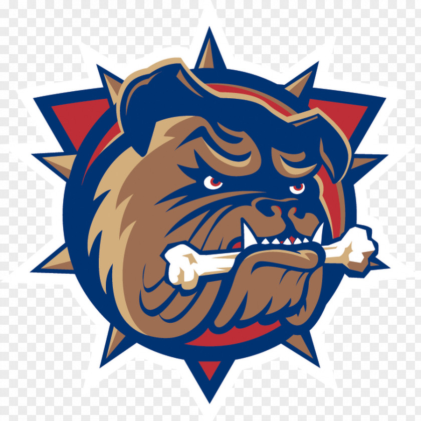 Bulldog FirstOntario Centre Hamilton Bulldogs American Hockey League Ontario Niagara IceDogs PNG