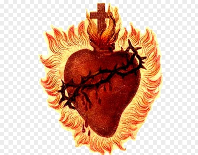 Heart Sacred Prayer First Friday Devotion Morning Offering Holy Spirit PNG