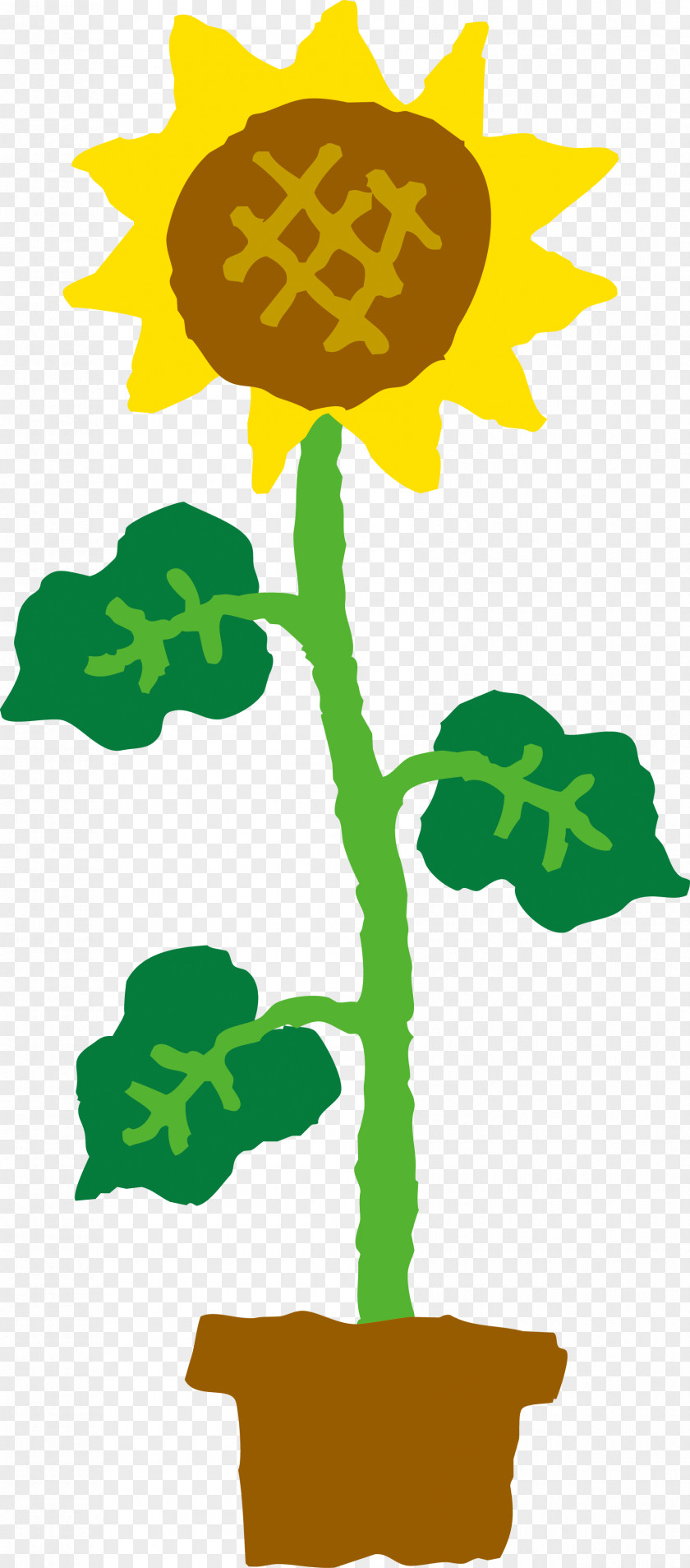 Leaf Green Plant Stem Flower PNG