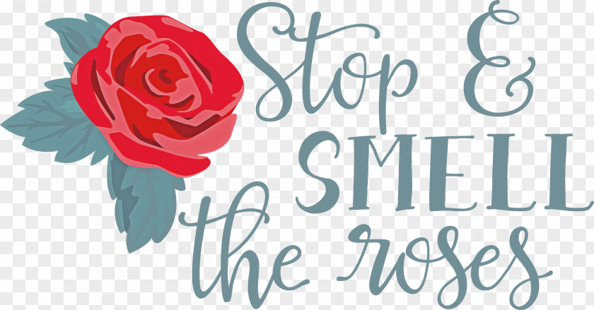 Rose Stop And Smell The Roses PNG