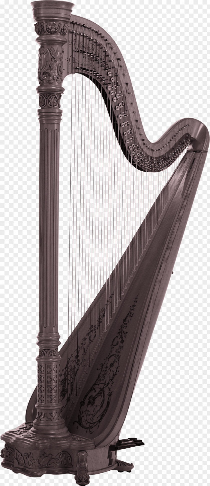 Harp Musical Instrument String PNG