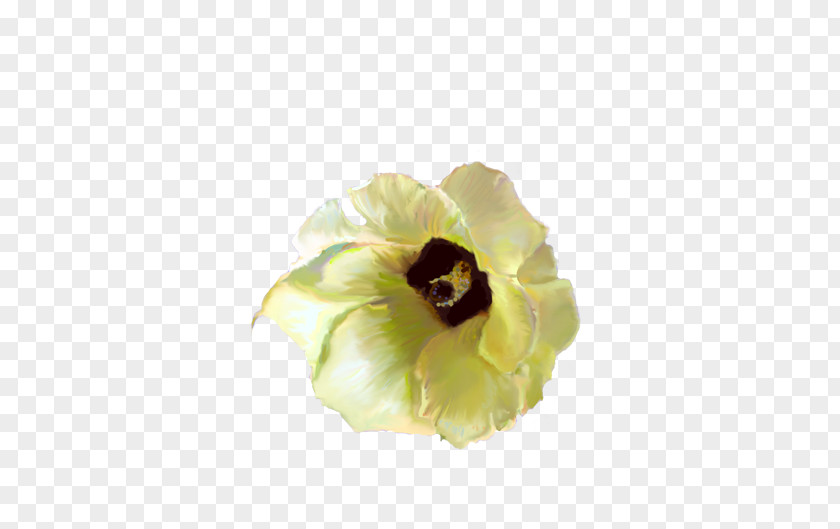 Okra Flat-leaved Vanilla Flower Yellow Blossom Petal PNG