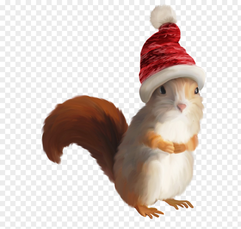Squirrel Santa Claus Christmas Clip Art PNG