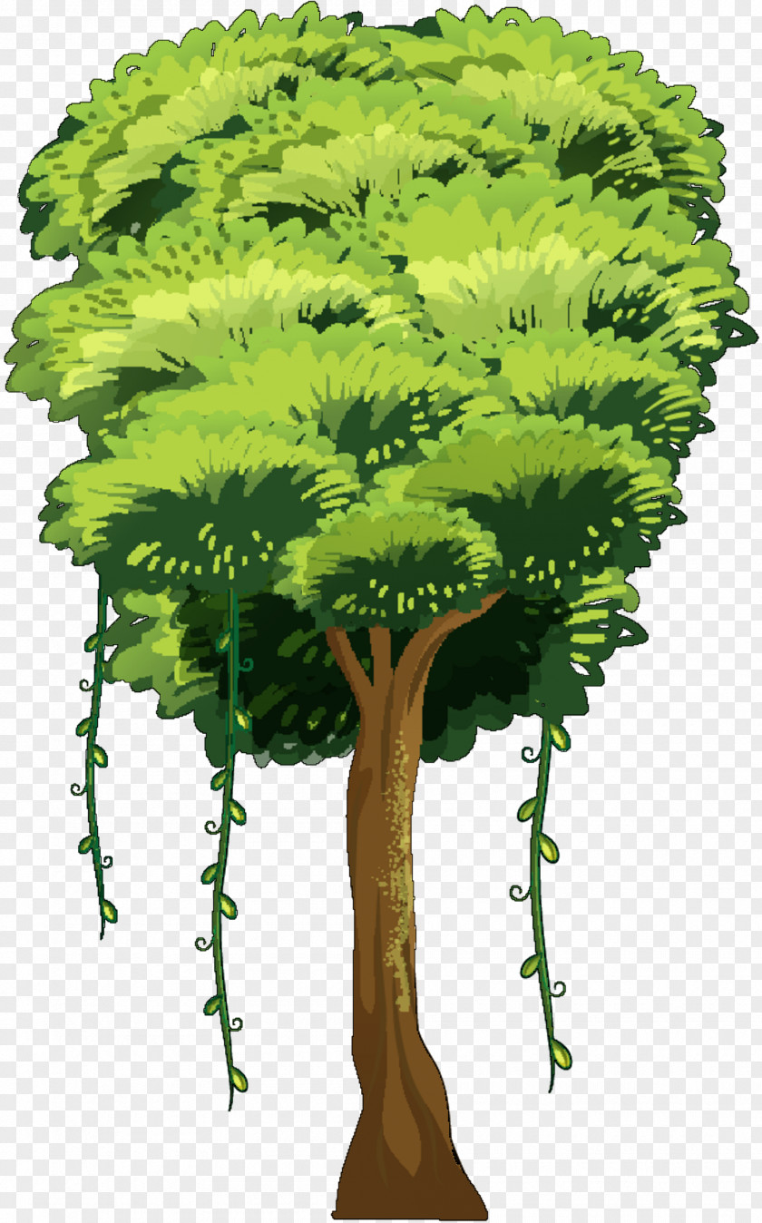 Vector Graphics Clip Art Tree Illustration PNG