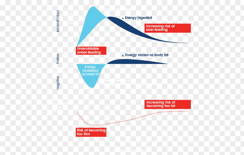 Logo Brand Discounts And Allowances PNG