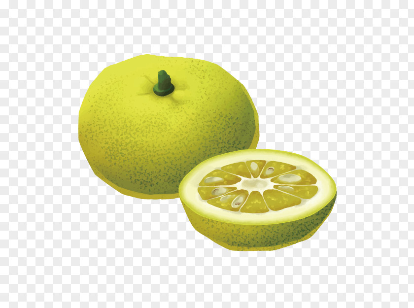 3d Cartoon Hand-painted Pictures Of Fruits Photos Drawing PNG