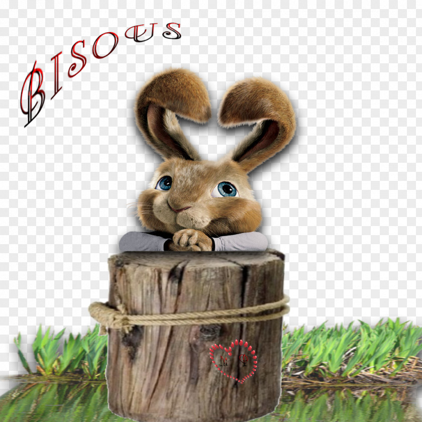 Actor Fred O'Hare Film Easter Bunny Animation PNG
