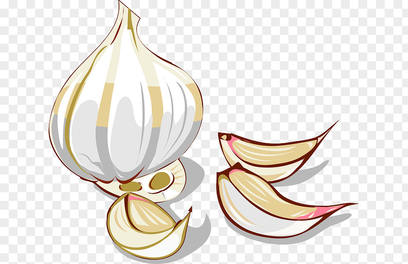 Cartoon Garlic Onion Vegetable Clip Art PNG