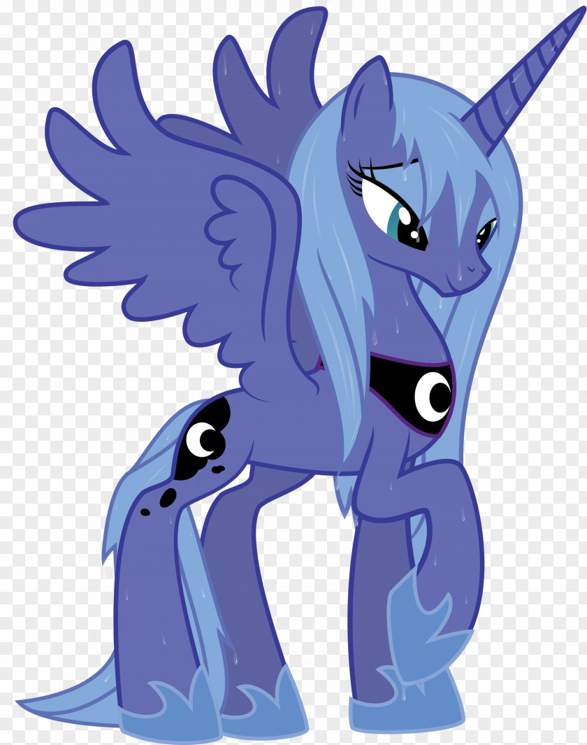 Princess Shoe Luna Pony Celestia Drawing PNG