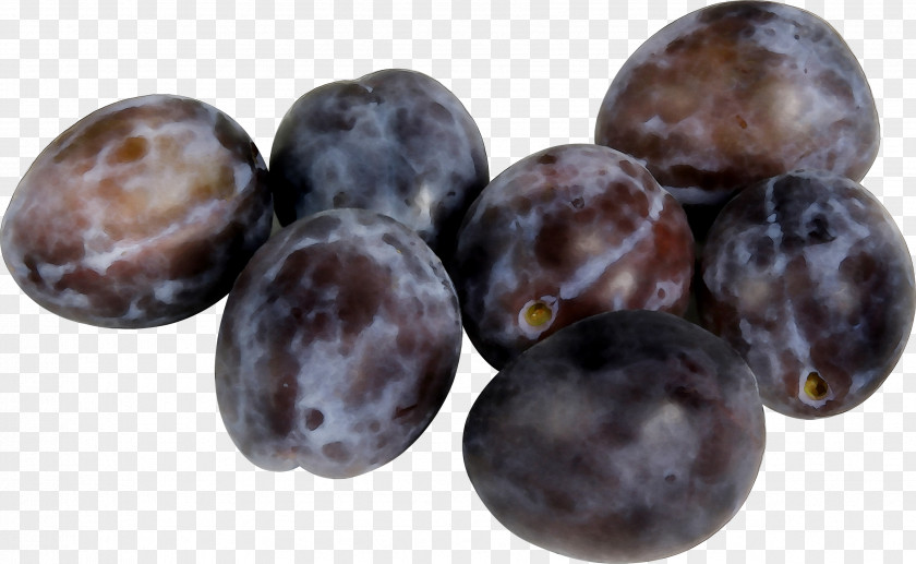 Prunus Nigra Fruit Wholesale Armenian Plum PNG