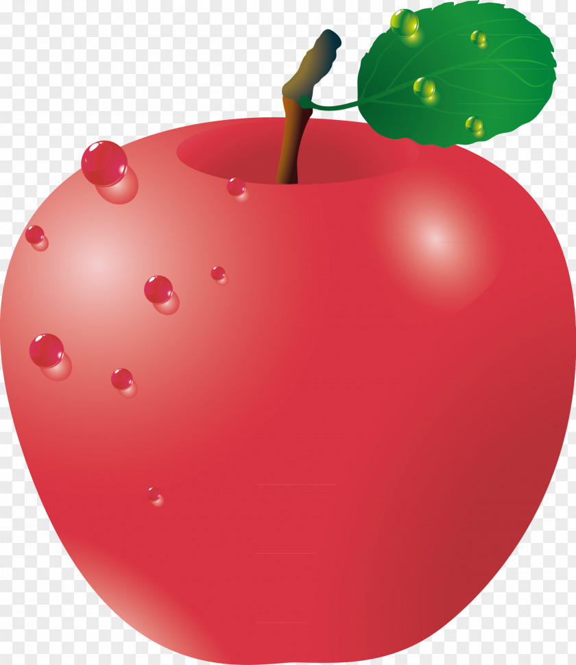 Red Apple Green Leaf Vector Adobe Illustrator PNG