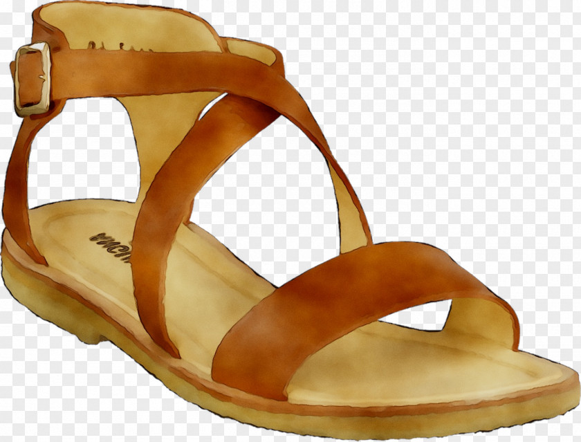 Slide Shoe Sandal PNG