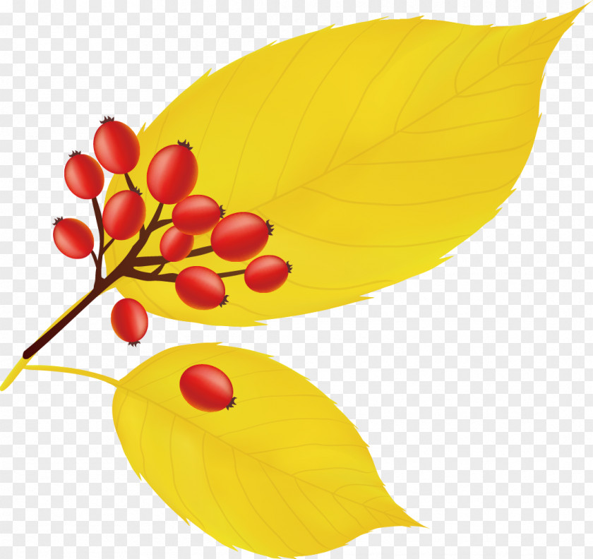 Autumn Life Icon Yellow Maple Leaf PNG