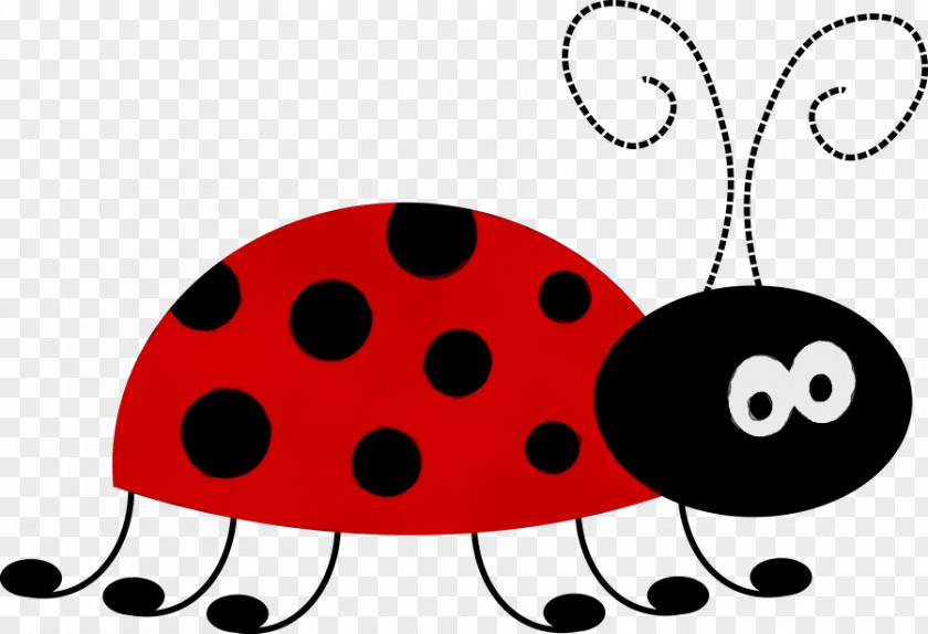 Beetle Ladybug PNG