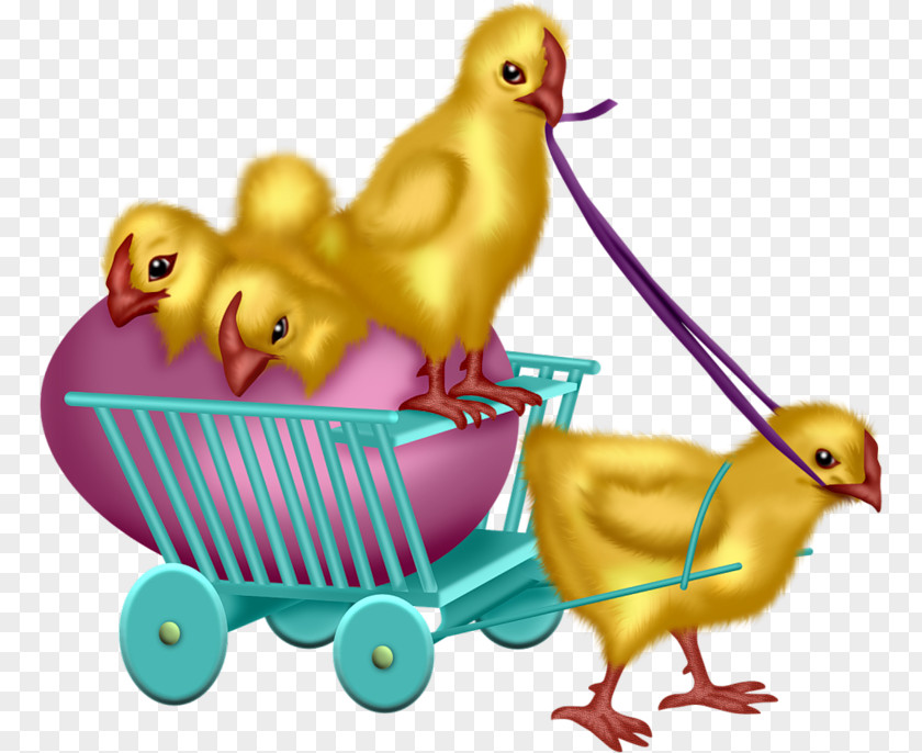 Duck Easter Chicken Clip Art PNG