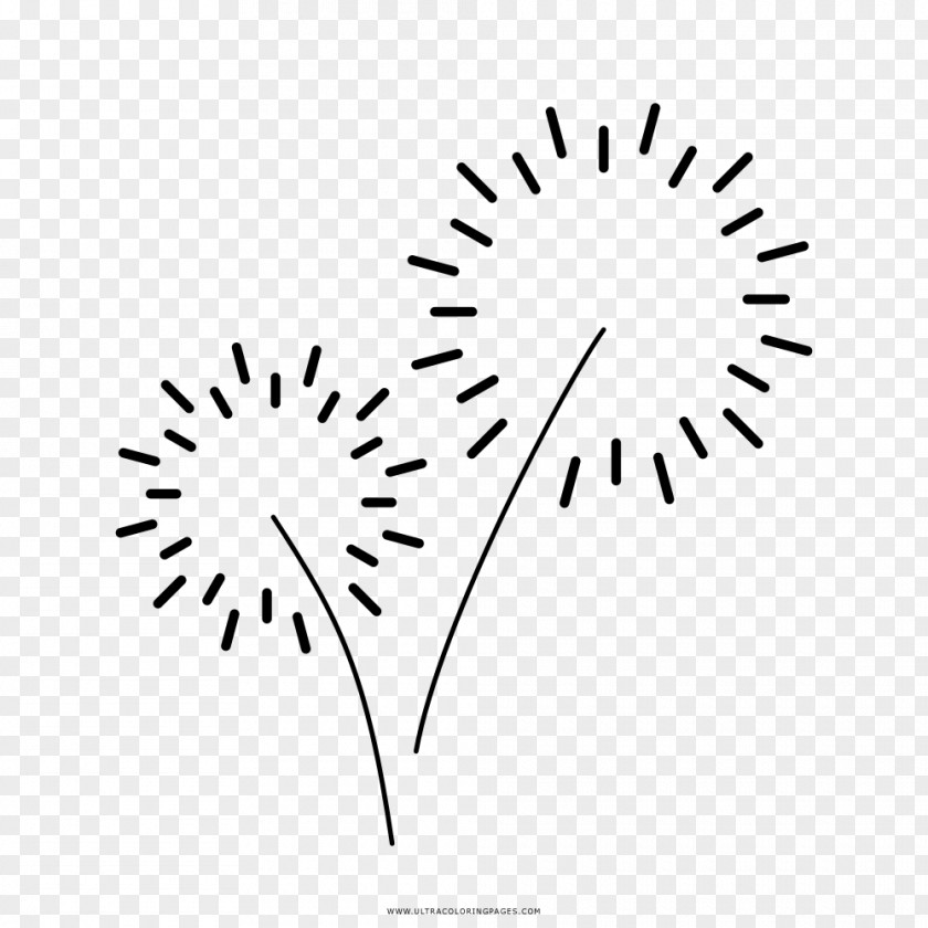 Fireworks Drawing Black And White PNG