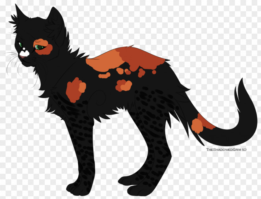Kitten Whiskers Black Cat Dog PNG