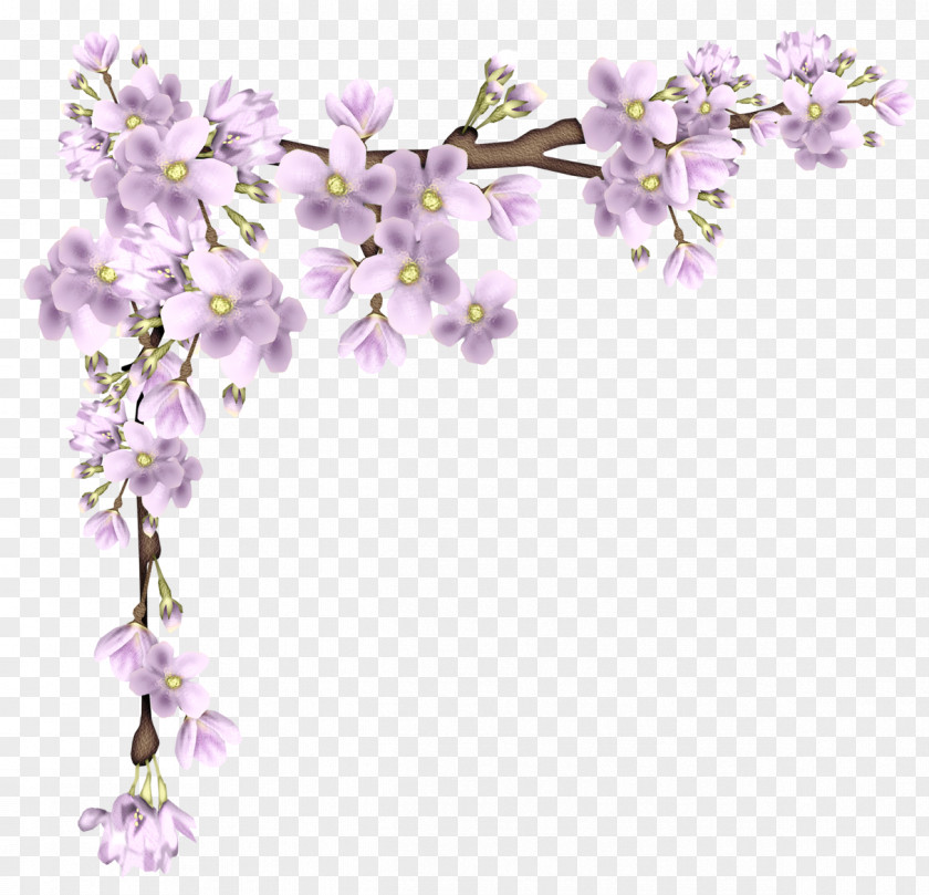 Pink Spring Branch Picture Flower Clip Art PNG