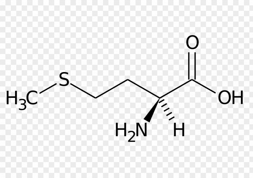 Science Methionine Essential Amino Acid Dietary Supplement Phenylalanine PNG