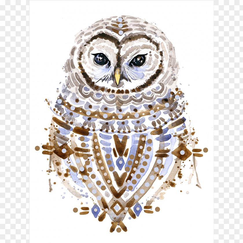 Animals Watercolor Owl Painting Photography PNG