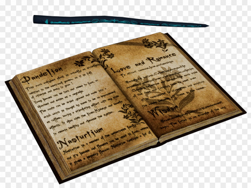 Book Wand Incantation Harry Potter The Black Path PNG