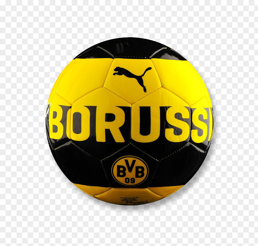 Borussia Dortmund Youth Sector Football Sport PNG