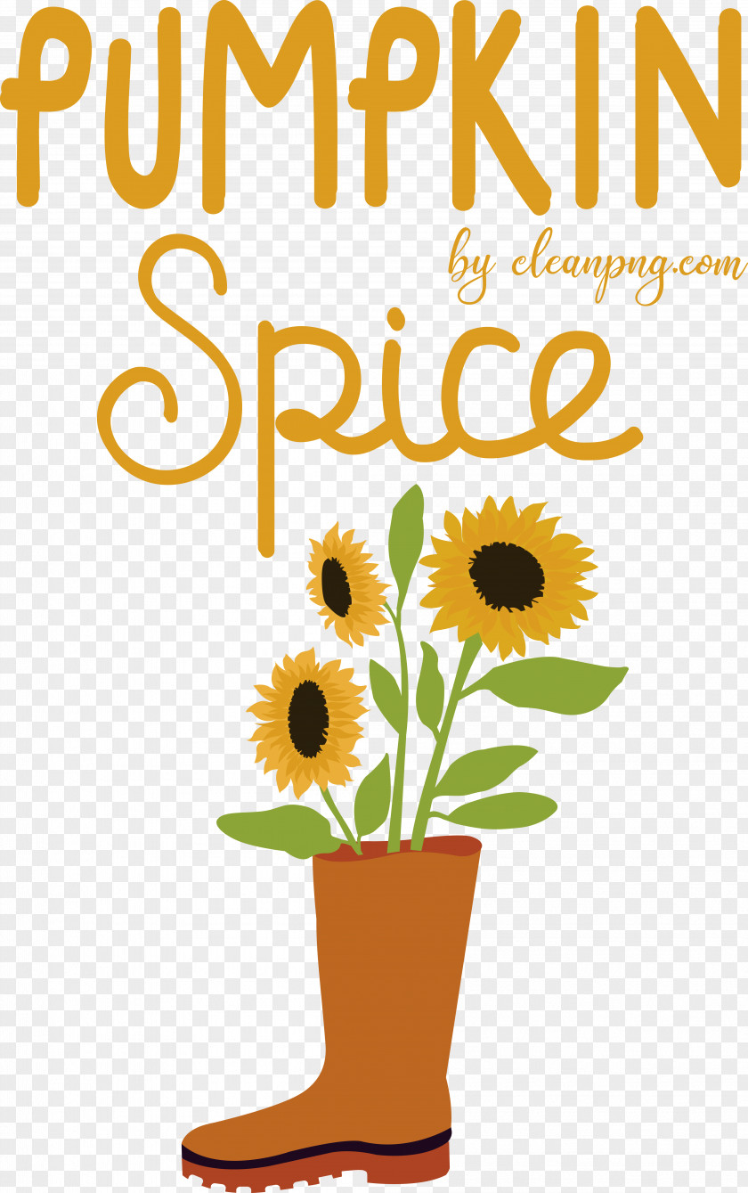 Common Sunflower Drawing Flower Painting Seed PNG