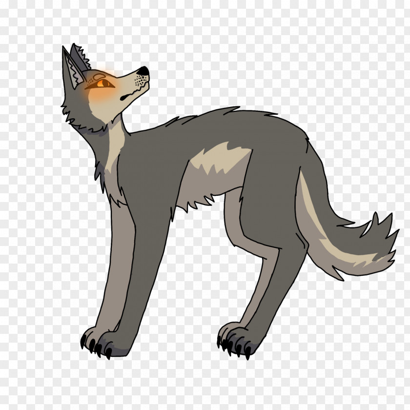 Coyote Canidae Animal Dog Wildlife PNG