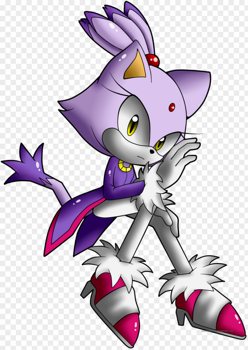 Blaze The Cat Shadow Hedgehog Sonic And Black Knight PNG