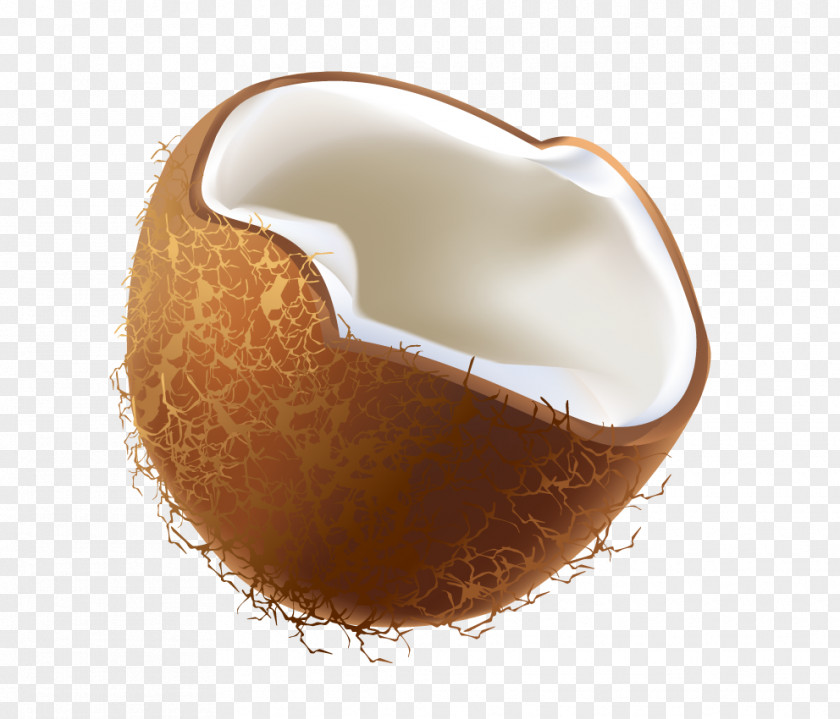 Half A Coconut Hazelnut Clip Art PNG
