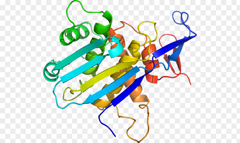 Mevalonate Kinase Deficiency Unfolded Protein Response Biology Organism Clip Art PNG