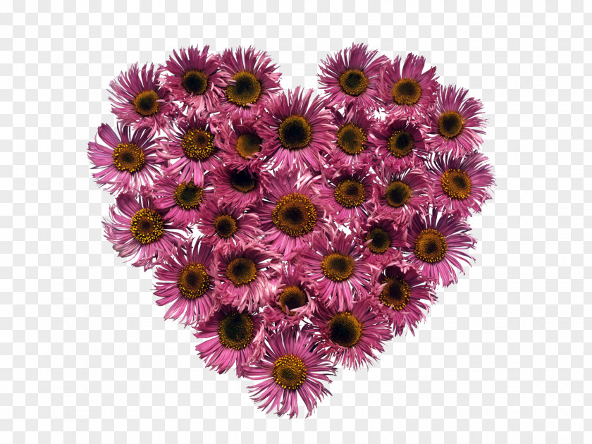 Pink Flowers Valentine's Day Heart Desktop Wallpaper Flower PNG